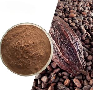 Cacao en Polvo Natural Tostado de Grado Alimenticio Premium en Bolsas de Papel Kraft de 25 kg para Producción de Chocolate, Confitería y Panadería - Product Image 3