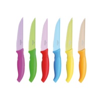 RVS Steak & Pizza Messenset 6-delig, Multicolor gekarteld lemmet, modern design, ergonomische kunststof handgreep, kleur van Excelsa