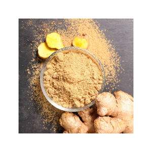 Poudre de gingembre jeune de qualité alimentaire biologique emballée pour l'exportation vers des acheteurs internationaux - Product Image 3