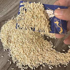 Vente en gros de riz brun long grain au jasmin riz brun aromatique du Vietnam de premier rang meilleur prix disponible 500gr 5kg sacs sous vide ANNA DO - Product Image 1