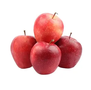 Suministro de exportación 2023 cosecha de fruta de manzana fresca a buen precio