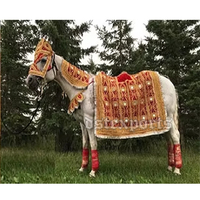 Costume de cheval brodé pour mariage indien, professionnel, portable, moderne, de luxe, broderie à la main, tenue traditionnelle, personnalisable