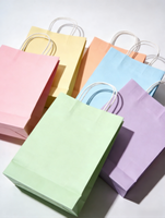 Sacs cadeaux en papier kraft artisanal de couleur arc-en-ciel, personnalisés, populaires, en gros, avec poignées, imprimés en typographie pour le shopping domestique