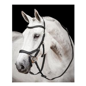 La mejor calidad Irlanda Micklem Competition Bridle Material de cuero de búfalo curtido ecológico a un precio asequible - Product Image 2