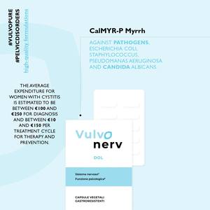 Effectief supplement tegen neuropathische bekkenpijn Vulvopure <span class=keywords><strong>Dol</strong></span> 40 capsules - CalMYR-P Mirre, PEA, ALA, GABA - Ondersteuning bij ontstekingen - Product Image 1