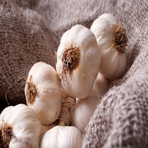 Entrega rápida disponible directo de fábrica 100% ajo blanco fresco orgánico natural verduras Liliáceas puras 25kg 24 meses - Product Image 2