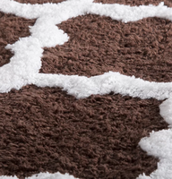 Tapis de bain en coton ultra-absorbant de style moderne, tapis de porte pour la maison et l'hôtel, tufté à la main, lavable en machine, épaisseur moyenne, imprimé en 3D