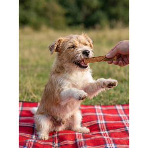 Snacks de venison para perros 1 kg - Caja a granel - Product Image 3