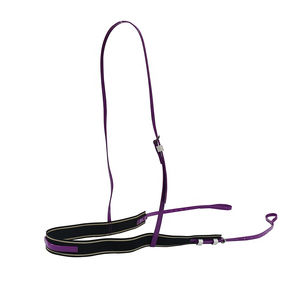 Circunferencia de caballo de deportes ecuestres de última moda de calidad superior/circunferencia de cuero genuino personalizada de fabricación superior - Product Image 5