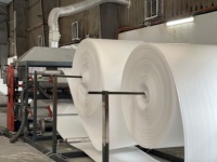 Rouleau de sous-couche en mousse EPE moderne pour hôpitaux et appartements, écologique, résistant à l'eau, prix d'usine, spécifications personnalisées