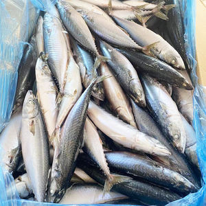 ปลาแมคเคอเรลแปซิฟิก15kgs ปลาซาร์ดีนและครีบแช่แข็งควบคุมด้วยน้ำเกลือนำเข้าราคาดี - Product Image 1
