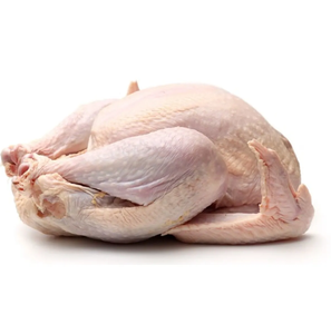Pechugas de Pavo Congeladas Frescas, Suministro a Granel, Carne de Alta Nutrición para Restaurantes y Servicios de Catering - Product Image 2