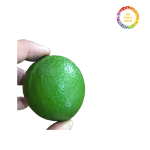 Frutas de Lima clasificadas para el suministro a granel de Vietnam, ideales para servicios de alimentos, aplicaciones de bebidas y uso de ingredientes culinarios B2B - Product Image 4