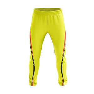 Maillot et pantalon de cricket respirants et à séchage rapide de haute qualité 2026, confortables pour l'entraînement en équipe, nouveaux modèles de batte de cricket - Product Image 3