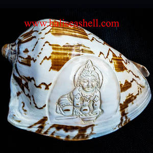 Cymbiola estilo tallado Little Krishna Ornament Seashell Jewelry Shell Motive Little Krishna Carving - Product Image 1