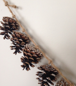 ต้นสนแห้งธรรมชาติสำหรับงานฝีมือตกแต่งวันหยุดและโครงการบ้านที่เป็นมิตรกับสิ่งแวดล้อม - Product Image 2