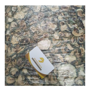 Melon d'hiver séché authentique du Vietnam soigneusement préparé pour conserver la qualité pour les fabricants et distributeurs alimentaires mondiaux - Product Image 3