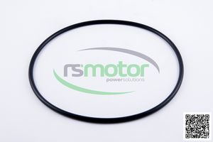 OEM O-seal para MWM para motor de gas natural Nuevas piezas de maquinaria - Product Image 5