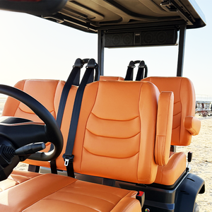 Véhicule de navette touristique 8 places |   Batterie au lithium 60V, vitesse de 28 km/h et autonomie de 80 km - Product Image 4