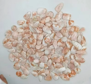 Cabujón de piedras preciosas de scolecite natural, joyería pulida única para fabricantes de joyas, lote de piedras preciosas sueltas Scolecite - Product Image 3