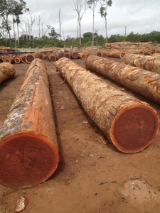 บันทึกไม้เนื้อแข็ง Sapele พรีเมี่ยมสำหรับขาย Sapele logs พรีเมี่ยม - Product Image 2
