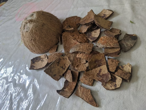 Meilleures ventes 2024 pour la vente en gros de coquilles de noix de coco naturelles vietnamiennes à bas prix prêtes pour l'exportation - Product Image 3