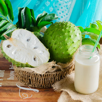 Zumo de Guanábana congelada, bebidas de Guanábana congelada enlatada de alta calidad, nuevo cultivo origen Vietnam al mejor precio