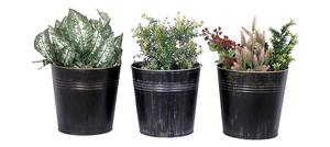 Maceta de Metal Negra Vintage de Diseño para Arreglos de Plantas de Interior, Estilo Contemporáneo para el Hogar y Uso Decorativo, Procedente de la India - Product Image 4