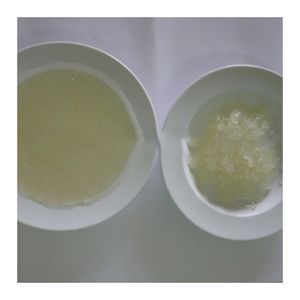 Dés d'aloe vera fraîchement transformés avec couleur dorée-dés d'aloe vera du Vietnam idéaux pour l'exportation et la vente en gros - Product Image 4