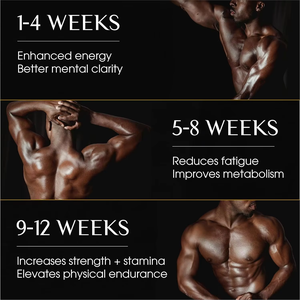 Cápsulas de Shilajit del Himalaya para Energía y Apoyo Inmunológico, Cápsulas de Shilajit Puro para Hombres y Mujeres, Cápsulas de Shilajit de la India - Product Image 5