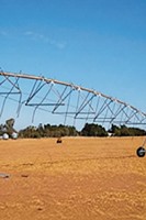Sistema de Riego de Pivote Móvil para Remolque, Máquina Aspersora de Pivote Central de 4 Ruedas, Equipo de Riego Agrícola Móvil