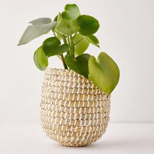 Beautiful <b>Flower</b> & Plant Raffia <b>Pot</b> <b>Tall</b> Seagrass Planter <b>Pots</b> Handmade Natural Straw Planters for Indoor Gardens - Product Image 3