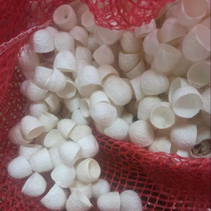 Capullos de Seda Natural de Vietnam, Calidad Premium para Uso Cosmético, Suministro al por Mayor Directo de Fábrica - Product Image 1