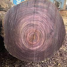 ไม้โรสวูด  ไม้โรสวูดเกรดพรีเมียม  ไม้แปรรูปโรสวูด - Product Image 4