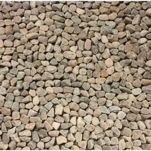 Azulejo de ducha de microguijarros pulidos de 12x12, piedra de remodelación marrón topo para Interior para suelo y pared, 1 azulejo () - Product Image 1