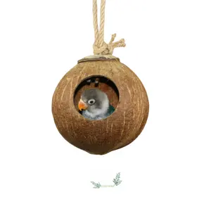 새 집 코코넛 쉘 케이지 새 케이지 교수형 끈 하우스 케이지 작은 애완 동물을위한 작은 새 잉꼬 참새