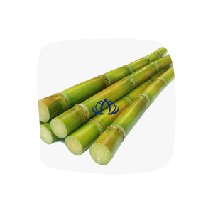 บรรจุอ้อยที่ปอกเปลือกและแช่แข็งอย่างสมบูรณ์500กรัมหรือเป็นก้อนจากดอกบัวในฟาร์มสีฟ้าเวียดนาม - Product Image 1