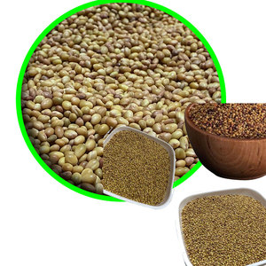 Trèfle Berseem (Grade A1) | Prend en charge la production de viande maigre chez les animaux | Durée de conservation de 3 ans Kohenoor International - Product Image 3