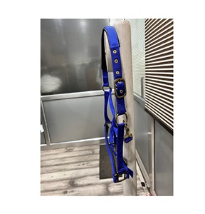 Halter d'équitation en nylon de haute qualité confortable et sûr pour l'exportation - Product Image 2