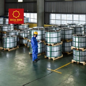 Acier PPGI de haute qualité du groupe Hoa Sen, certifié ISO 9001, peint en couleur, grade 304N, série 200, finition de surface n°3, norme GB - Product Image 3