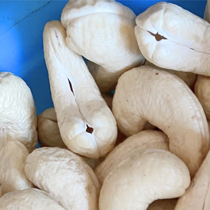 Anacardos de proveedor de confianza W320 W240 W180, anacardos de Vietnam, anacardos de Santigo Vietnam - Product Image 1