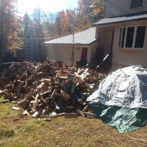 Top Quality Kiln Dried Firewood <b>Oak</b> and Beech Firewood Logs <b>for</b> <b>Sale</b> Phase Change Material Mixed <b>Woods</b> <b>Oak</b> Ash Pine Birch - Product Image 4