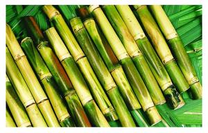 PALILLO DE CAÑA NATURAL DE VIETNAM/PALO DE CAÑA DE AZÚCAR DE ALTA CALIDAD/CAÑA DE AZÚCAR CONGELADA VENDO 2024 CON EL MEJOR PRECIO - Product Image 4