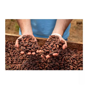 Fèves de cacao Fèves de cacao fermentées New Crop - Product Image 2