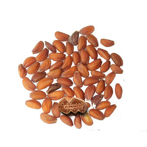 Semillas de lechuga |   Cosecha Agrícola Natural con 99% de Pureza y 3 Años de Vida Útil para Ingredientes Gourmet - Product Image 1
