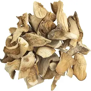 CHAMPIGNONS D'HUÎTRES SÉCHÉS AU PRIX LE PLUS BON/CHAMPIGNONS D'HUÎTRES DE QUALITÉ SUPÉRIEURE EN VRAC - Product Image 1