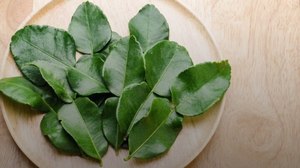 ใบมะนาวแช่แข็งธรรมชาติ/เกรดพรีเมี่ยม/พร้อมใช้งาน/บรรจุภัณฑ์จำนวนมาก/มาตรฐานการส่งออก - Product Image 5