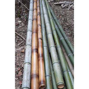 Baguettes de bambou pour l'artisanat, pièces de carillon éolien, fournitures de carillon éolien, bâtons en bois, bâtons de roseau, bambou vert - Product Image 2