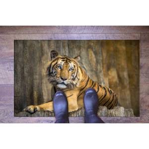 Tapis imprimé motif tigre : bureau, man cave, décoration extérieure, tapis en velours - Product Image 5