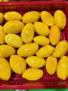 Trozos de mango congelados, ingrediente tropical saludable para postres y bebidas - Product Image 1